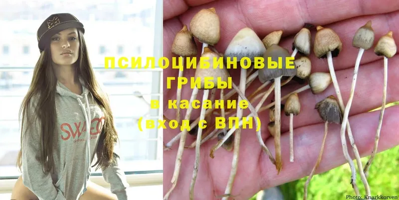 Псилоцибиновые грибы MAGIC MUSHROOMS  Вышний Волочёк 